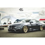 ZP.FORGED 1 Super Deep Concave | Royal Gold ZP.FORGED 1 Super Deep Concave | Royal Gold